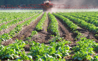 Farming without Herbicides